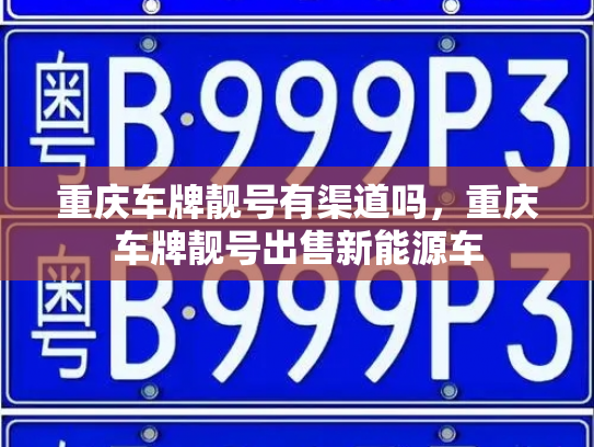 重庆车牌靓号有渠道吗,重庆车牌靓号出售新能源车-第2张图片-七号汽车选号 重庆车牌靓号有渠道吗,重庆车牌靓号出售新能源车-第2张图片-七号汽车选号