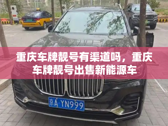 重庆车牌靓号有渠道吗,重庆车牌靓号出售新能源车-第3张图片-七号汽车选号 重庆车牌靓号有渠道吗,重庆车牌靓号出售新能源车-第3张图片-七号汽车选号