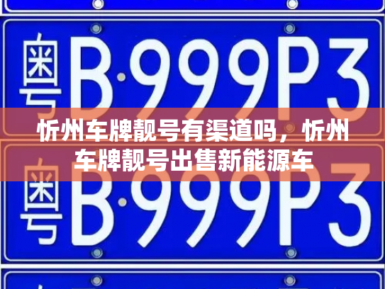 忻州车牌靓号有渠道吗,忻州车牌靓号出售新能源车-第2张图片-七号汽车选号 忻州车牌靓号有渠道吗,忻州车牌靓号出售新能源车-第2张图片-七号汽车选号