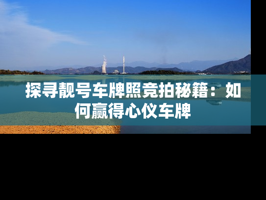探寻靓号车牌照竞拍秘籍：如何赢得心仪车牌