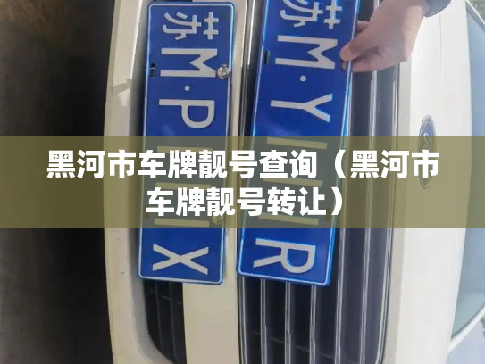 黑河市车牌靓号查询（黑河市车牌靓号转让）-第3张图片-七号汽车选号