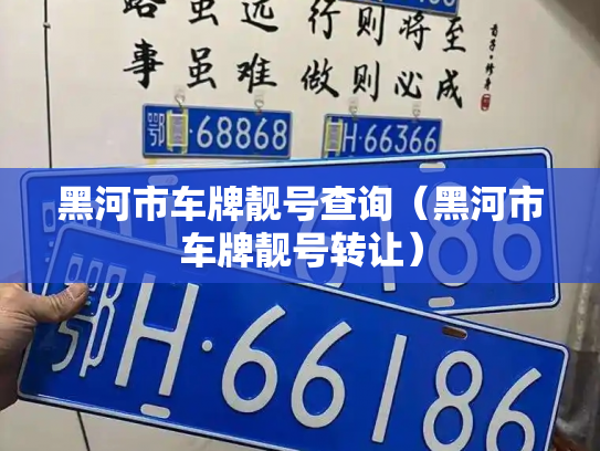 黑河市车牌靓号查询（黑河市车牌靓号转让）