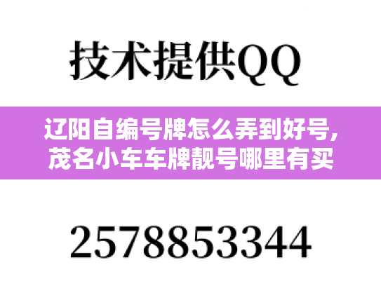 辽阳自编号牌怎么弄到好号,茂名小车车牌靓号哪里有买