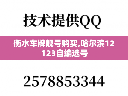 衡水车牌靓号购买,哈尔滨12123自编选号