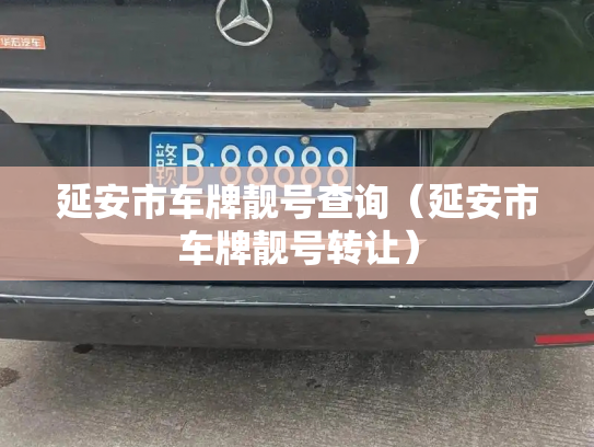 延安市车牌靓号查询（延安市车牌靓号转让）-第2张图片-七号汽车选号