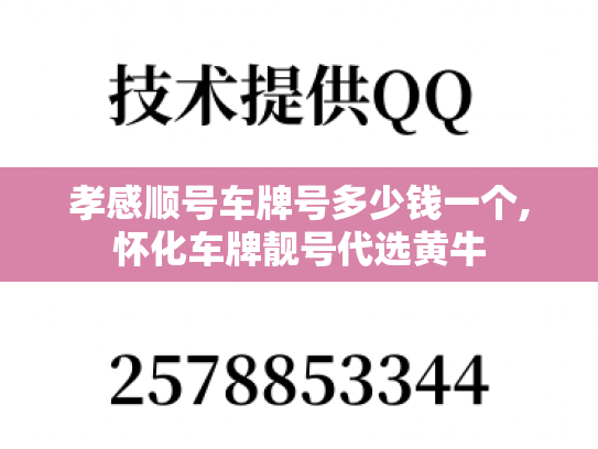 孝感顺号车牌号多少钱一个,怀化车牌靓号代选黄牛