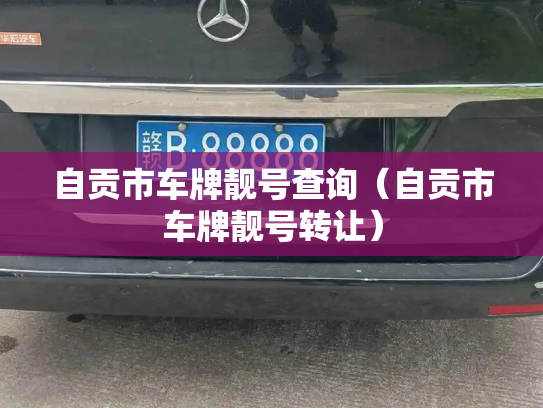 自贡市车牌靓号查询（自贡市车牌靓号转让）-第2张图片-七号汽车选号