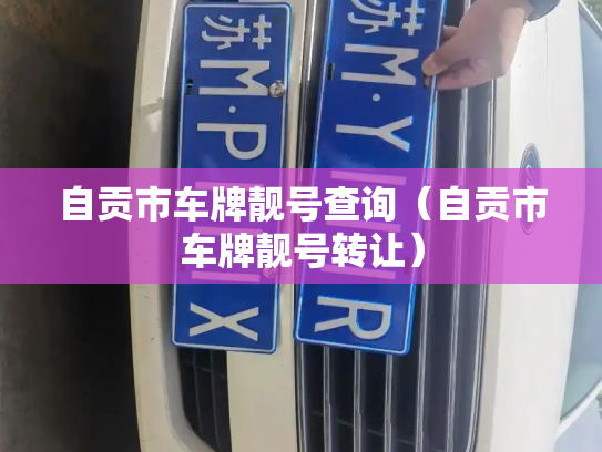 自贡市车牌靓号查询（自贡市车牌靓号转让）