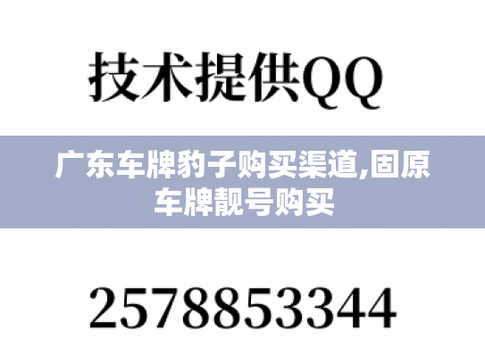 广东车牌豹子购买渠道,固原车牌靓号购买