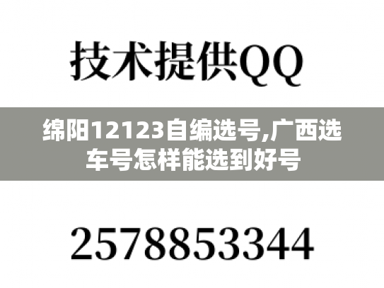 绵阳12123自编选号,广西选车号怎样能选到好号