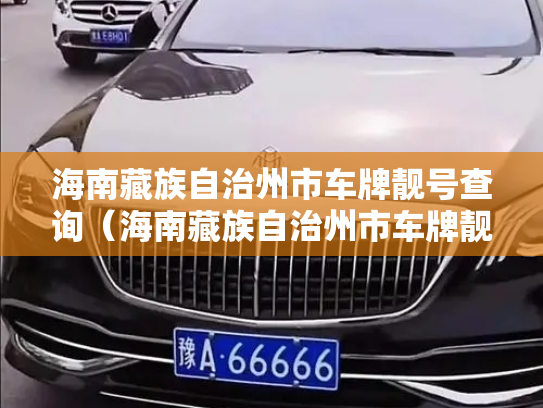 海南藏族自治州市车牌靓号查询（海南藏族自治州市车牌靓号转让）-第2张图片-七号汽车选号