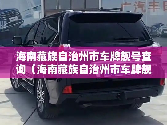 海南藏族自治州市车牌靓号查询（海南藏族自治州市车牌靓号转让）