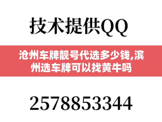 沧州车牌靓号代选多少钱,滨州选车牌可以找黄牛吗