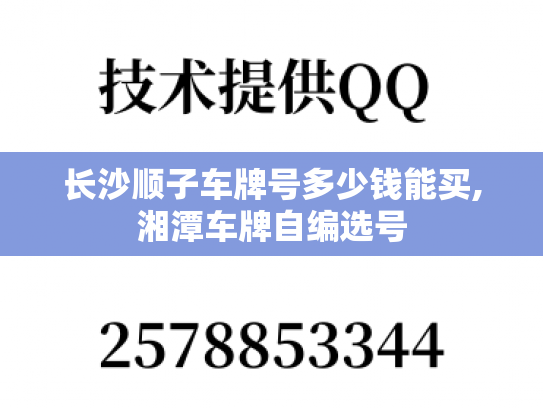 长沙顺子车牌号多少钱能买,湘潭车牌自编选号