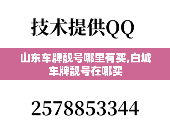 山东车牌靓号哪里有买,白城车牌靓号在哪买