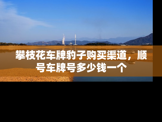 攀枝花车牌豹子购买渠道，顺号车牌号多少钱一个-第1张图片-七号汽车选号