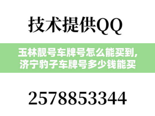 玉林靓号车牌号怎么能买到,济宁豹子车牌号多少钱能买