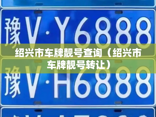 绍兴市车牌靓号查询（绍兴市车牌靓号转让）-第2张图片-七号汽车选号
