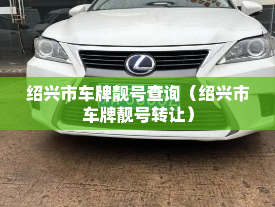 绍兴市车牌靓号查询（绍兴市车牌靓号转让）-第3张图片-七号汽车选号