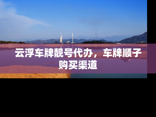 云浮车牌靓号代办，车牌顺子购买渠道-第1张图片-七号汽车选号