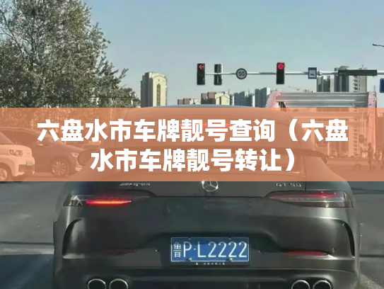 六盘水市车牌靓号查询（六盘水市车牌靓号转让）-第2张图片-七号汽车选号
