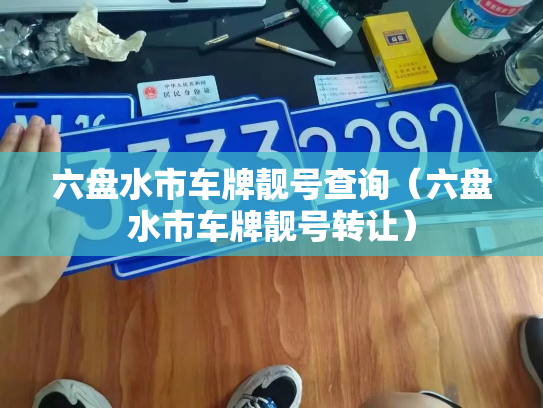 六盘水市车牌靓号查询（六盘水市车牌靓号转让）-第3张图片-七号汽车选号