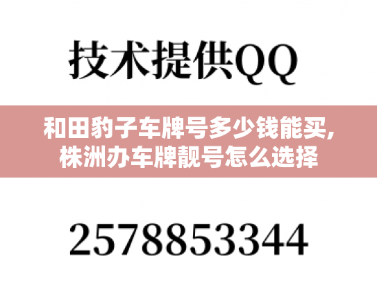 和田豹子车牌号多少钱能买,株洲办车牌靓号怎么选择