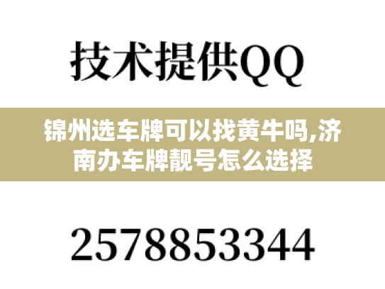 锦州选车牌可以找黄牛吗,济南办车牌靓号怎么选择