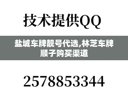 盐城车牌靓号代选,林芝车牌顺子购买渠道