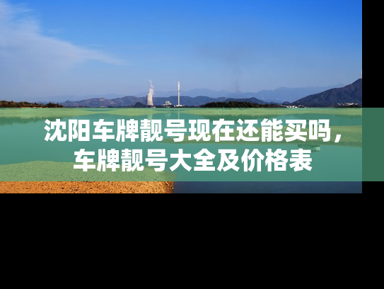 沈阳车牌靓号现在还能买吗，车牌靓号大全及价格表-第1张图片-七号汽车选号