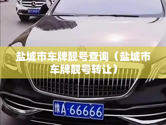 盐城市车牌靓号查询（盐城市车牌靓号转让）-第2张图片-七号汽车选号