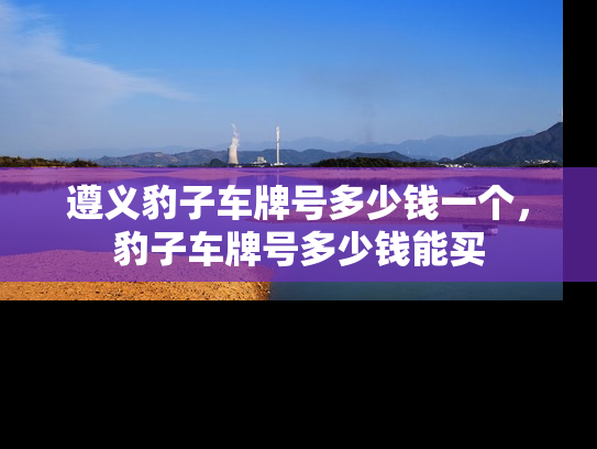 遵义豹子车牌号多少钱一个，豹子车牌号多少钱能买-第2张图片-七号汽车选号