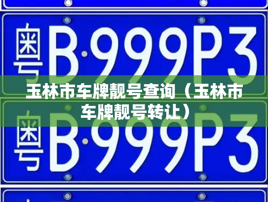 玉林市车牌靓号查询（玉林市车牌靓号转让）-第2张图片-七号汽车选号