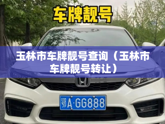 玉林市车牌靓号查询（玉林市车牌靓号转让）-第3张图片-七号汽车选号