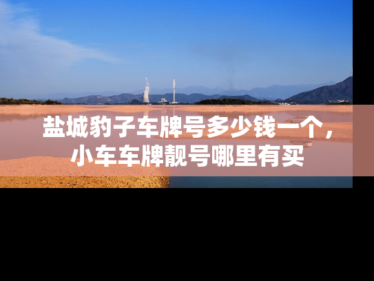 盐城豹子车牌号多少钱一个，小车车牌靓号哪里有买-第1张图片-七号汽车选号