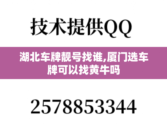 湖北车牌靓号找谁,厦门选车牌可以找黄牛吗
