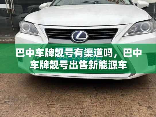 巴中车牌靓号有渠道吗,巴中车牌靓号出售新能源车-第2张图片-七号汽车选号 巴中车牌靓号有渠道吗,巴中车牌靓号出售新能源车-第2张图片-七号汽车选号