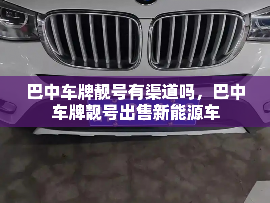 巴中车牌靓号有渠道吗,巴中车牌靓号出售新能源车-第3张图片-七号汽车选号 巴中车牌靓号有渠道吗,巴中车牌靓号出售新能源车-第3张图片-七号汽车选号