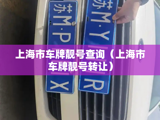 上海市车牌靓号查询（上海市车牌靓号转让）-第2张图片-七号汽车选号