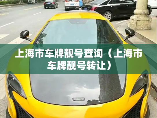 上海市车牌靓号查询（上海市车牌靓号转让）-第3张图片-七号汽车选号