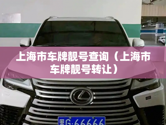 上海市车牌靓号查询（上海市车牌靓号转让）