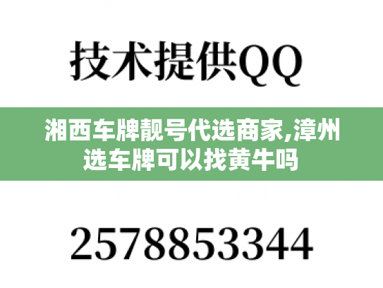 湘西车牌靓号代选商家,漳州选车牌可以找黄牛吗