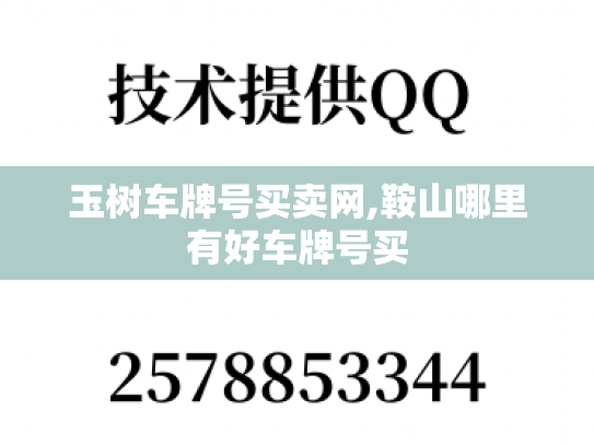 玉树车牌号买卖网,鞍山哪里有好车牌号买