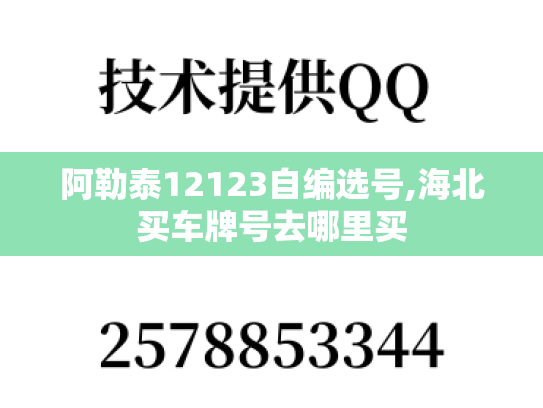 阿勒泰12123自编选号,海北买车牌号去哪里买