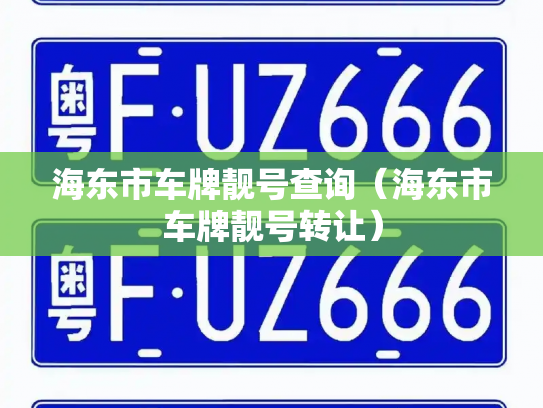 海东市车牌靓号查询（海东市车牌靓号转让）-第2张图片-七号汽车选号