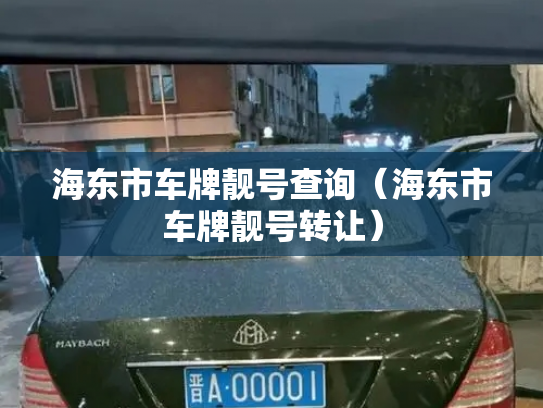 海东市车牌靓号查询（海东市车牌靓号转让）-第3张图片-七号汽车选号