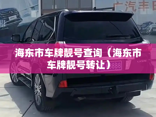 海东市车牌靓号查询（海东市车牌靓号转让）