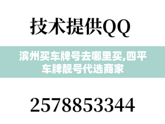 滨州买车牌号去哪里买,四平车牌靓号代选商家