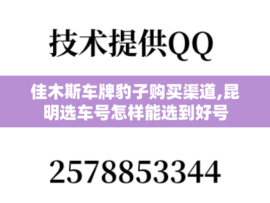 佳木斯车牌豹子购买渠道,昆明选车号怎样能选到好号