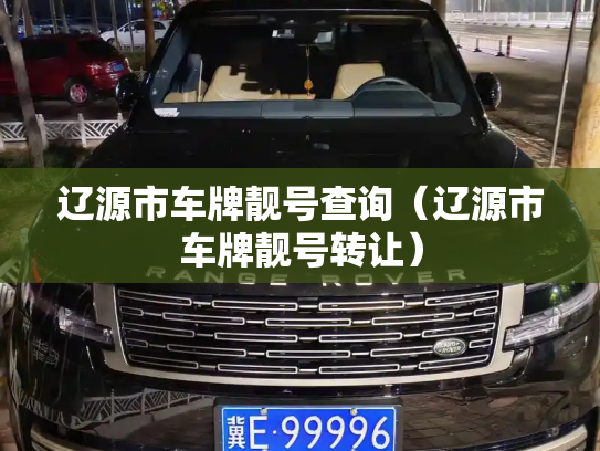 辽源市车牌靓号查询（辽源市车牌靓号转让）